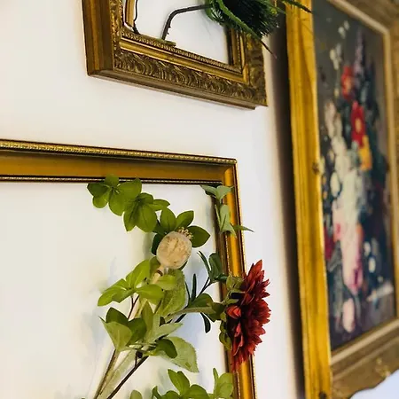 Bel Air - Piscine - Jacuzzi * Criel-sur-Mer